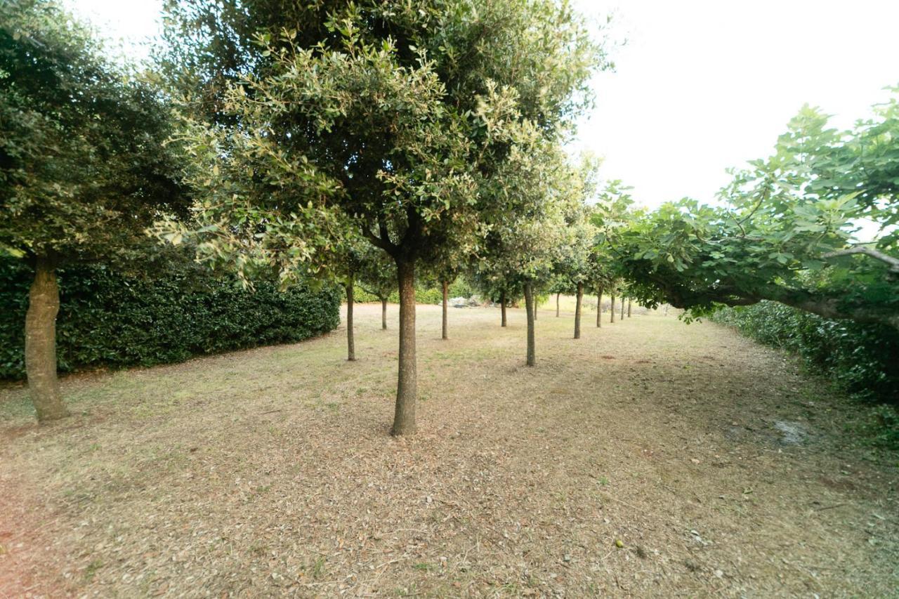 Dimora Beatrice Villa Martina Franca Dış mekan fotoğraf